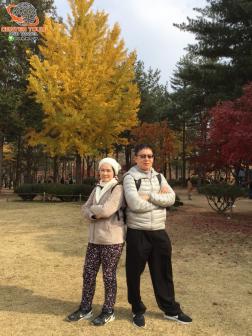 ทัวร์เกาหลี 