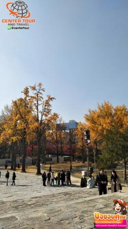 ทัวร์เกาหลี 