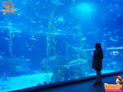 ทัวร์เกาหลี 