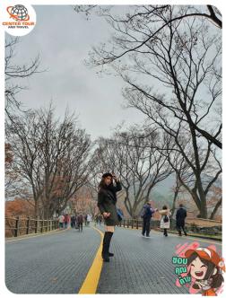 ทัวร์เกาหลี 