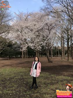 ทัวร์ญี่ปุ่น 