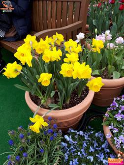 ทัวร์เกาหลี 