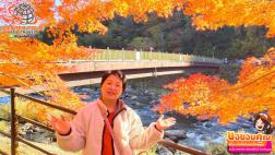 ทัวร์ญี่ปุ่น 