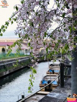 ทัวร์ญี่ปุ่น 