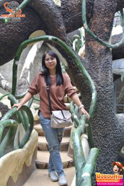 ทัวร์เวียดนาม 