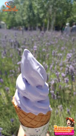 ทัวร์ญี่ปุ่น 