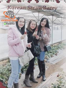 ทัวร์เกาหลี 