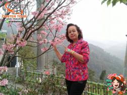 ทัวร์ไต้หวัน 