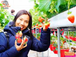 ทัวร์เกาหลี 