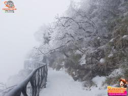 ทัวร์จีน 