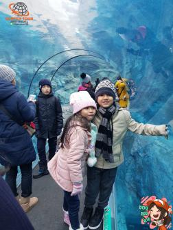 ทัวร์ญี่ปุ่น 