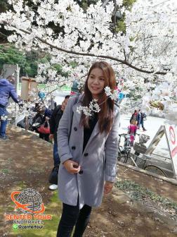 ทัวร์ญี่ปุ่น 