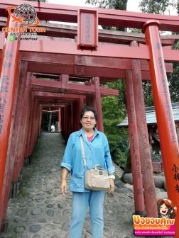 ทัวร์ญี่ปุ่น 