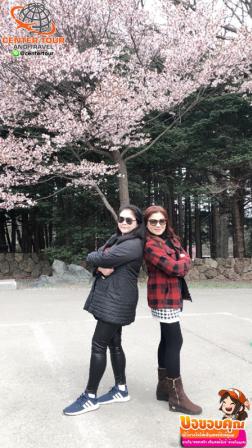 ทัวร์ญี่ปุ่น 