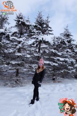 ทัวร์ญี่ปุ่น 