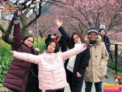 ทัวร์ญี่ปุ่น 