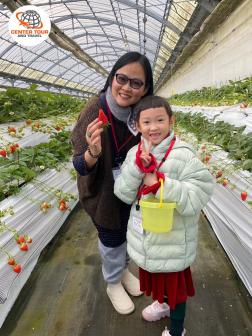 ทัวร์ญี่ปุ่น 