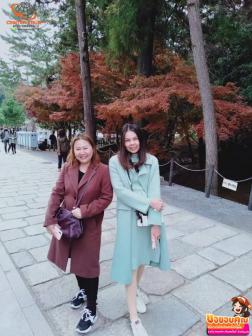 ทัวร์ญี่ปุ่น 