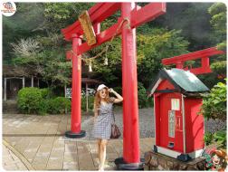 ทัวร์ญี่ปุ่น 