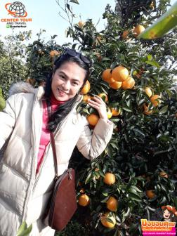 ทัวร์เกาหลี 