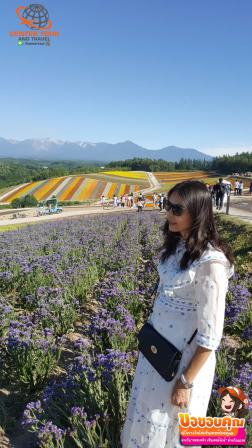 ทัวร์ญี่ปุ่น 