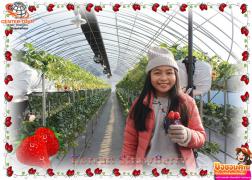 ทัวร์เกาหลี 