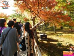 ทัวร์ญี่ปุ่น 