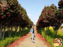 ทัวร์เกาหลี 