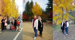 ทัวร์เกาหลี 