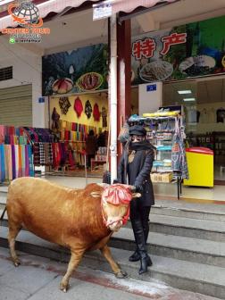 ทัวร์จีน 