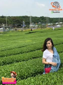 ทัวร์เกาหลี 