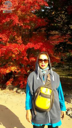 ทัวร์เกาหลี 