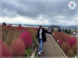 ทัวร์ญี่ปุ่น 