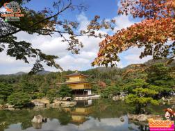 ทัวร์ญี่ปุ่น 