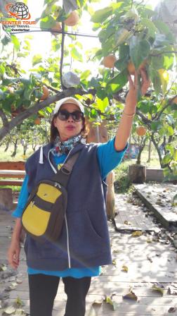 ทัวร์เกาหลี 