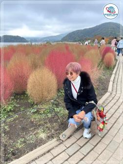 ทัวร์ญี่ปุ่น 