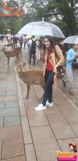 ทัวร์ญี่ปุ่น 