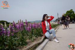 ทัวร์เกาหลี 