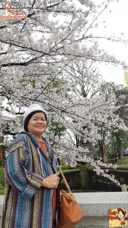 ทัวร์ญี่ปุ่น 