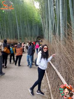 ทัวร์ญี่ปุ่น 