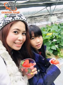 ทัวร์เกาหลี 