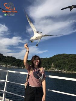 ทัวร์ญี่ปุ่น 