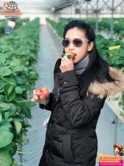 ทัวร์เกาหลี 