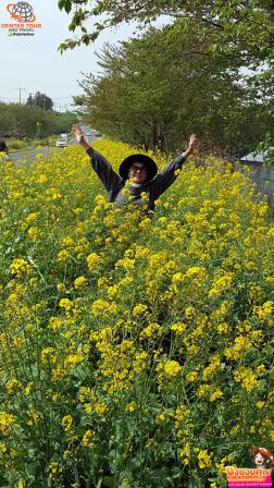 ทัวร์เกาหลี 