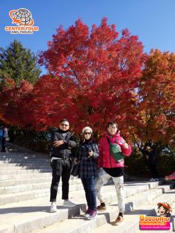 ทัวร์เกาหลี 