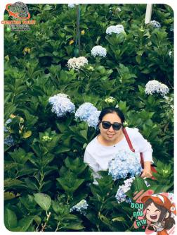 ทัวร์เวียดนาม 