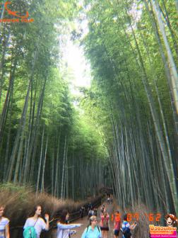 ทัวร์ญี่ปุ่น 