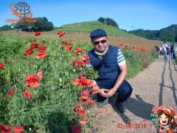 ทัวร์ญี่ปุ่น 