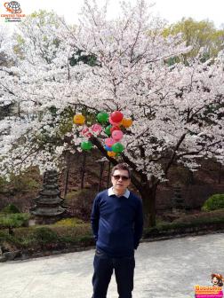 ทัวร์เกาหลี 