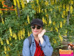 ทัวร์ญี่ปุ่น 